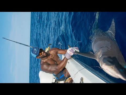Shark Fishing with NFL Linebacker Sam Barrington - 4K