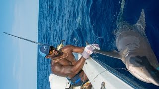 Shark Fishing with NFL Linebacker Sam Barrington - 4K