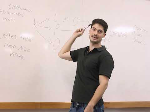 INTENSIVO PSICOPATO: REPASO 2° PARCIAL