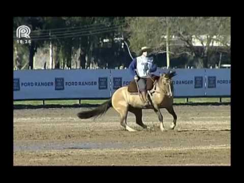 Sul RS – 1° lugar fêmeas – Las Callanas B Grandeza