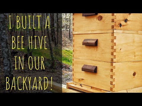 , title : 'This is How I Built My Bee Hive and Frames'