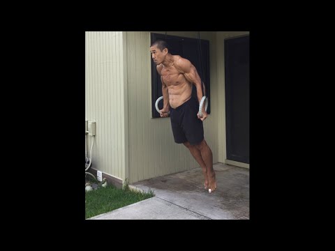 Day 208 FitPro Hawaii Vlog - Ring Dip Lockout (attempts) + Slow Pull Ups - December 8, 2020