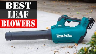 The 5 Best Leaf Blowers 2024