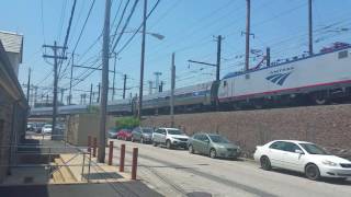 Action in the Zoo curve pt 1