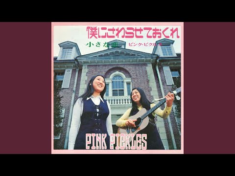 Dandadan Chiisana Koi Pink Pickles