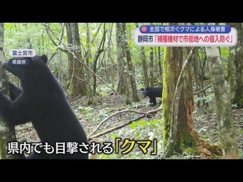 YouTube Video クマの市街地に近いエリアでの出没が続いた場合　捕獲機材を設置し市街地への侵入を防ぐ方針　静岡市
