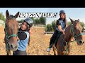 Horse Riding school ma admission le Lia 🐎😁 || bachpan ka khuwab #alizehjamali