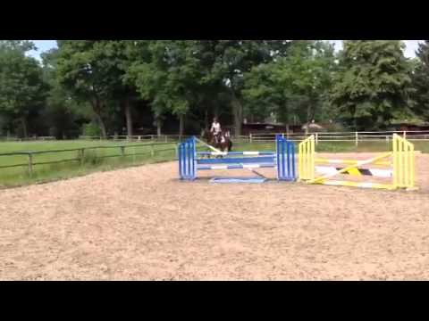 3 j Fürst Nymphenburg x Lauris Crusador xx x Argentan Galop