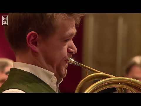 Wiener Symphoniker // W.A. Mozart: Konzert für Horn und Orchester Nr. 4 Es-Dur KV 495, 1. Satz