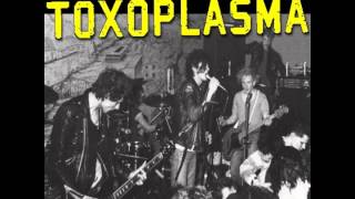 Toxoplasma - Vollgas