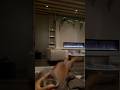 My Body Finally Said Slow Down ‍ ️ My Hubby Saw What I Didn T Want To Admit Youtubeshorts