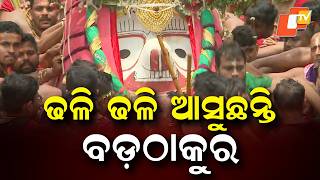 Bada Thakura Shri Balabhadra Arrives in Divine Pahandi | Watch the Majestic Moments