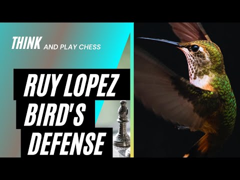 Bird's Defense Variation of the the Ruy Lopez || Chess