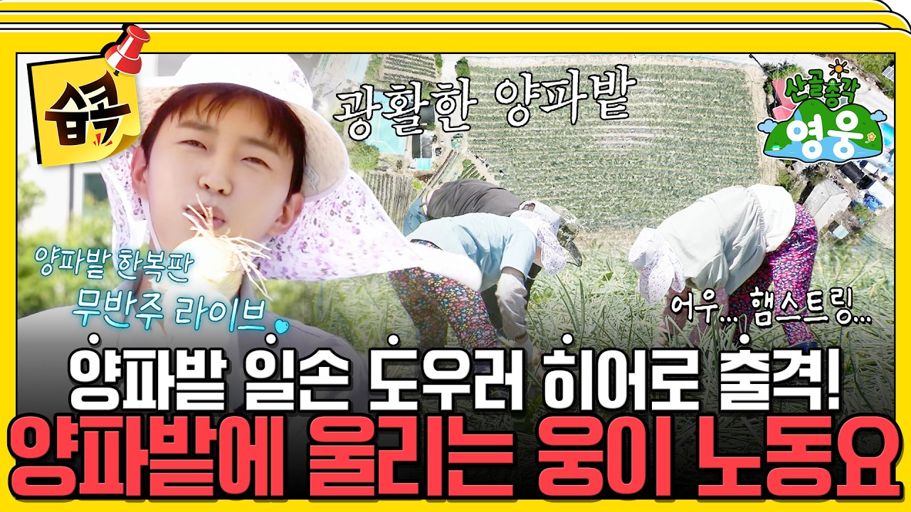 [#습콕📌] 양파밭에 히어로 등장!! 끝없는 양파지옥(?)에 필요한 영웅이의 노동요🎶 #산골총각영웅 #HighVal