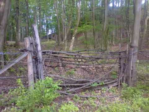 Lopare - Лопаре