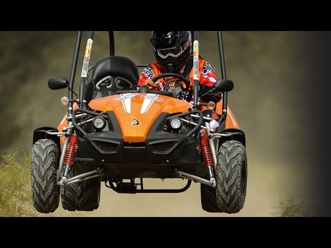 HAMMERHEAD Gts 150 buggy DELIVERY warranty choice - Image 2