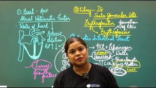 Hormones of Heart, Kidney, and Gastrointestinal Tract: Beyond Traditional Endocrine Glands