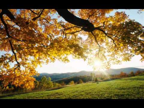 Thumbnail for Mercies Anew video