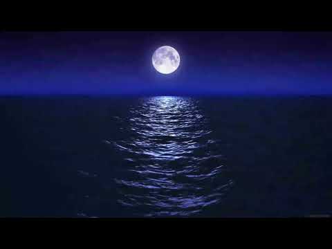 Beliy, ArMus   Фея 2020