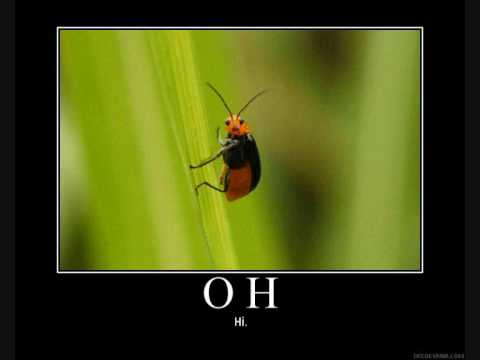 Wanna do it easy - DJ Swimon ft. DJ Jontebooi