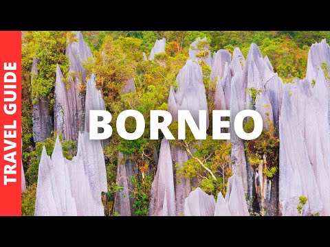 Borneo Malaysia Travel Guide: 17 BEST Things To Do In Borneo