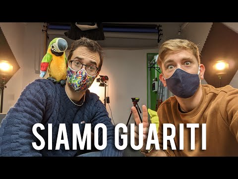 SIAMO GUARITI - Cane Secco