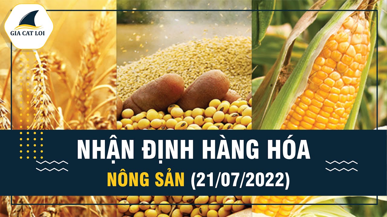 Nhận Định Thị Trường Nông Sản Ngày 21/07/2022