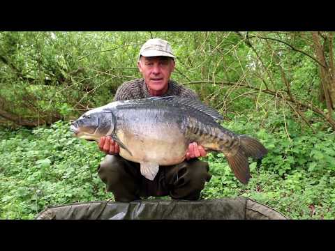 Dave Lane Carp Blog - A couple of short sessions and another fish on the bank