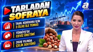 Türkiye Tahıl Sevkiyatında Nasıl Bir Rol Üstlenecek? - Tarladan Sofraya