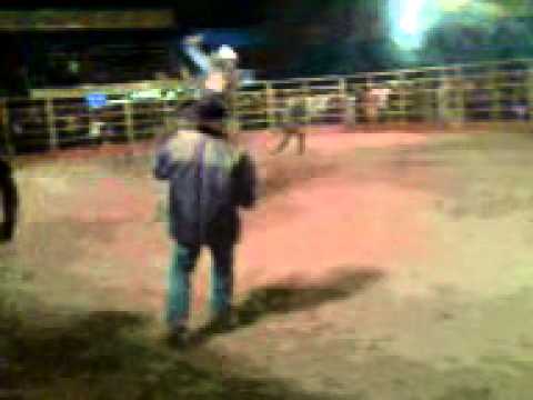 Guilherme x cara metade