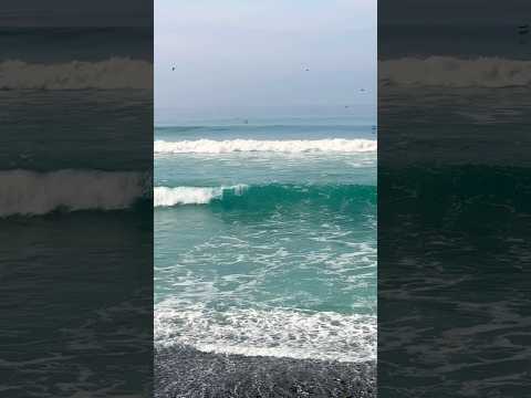 Waves Of Pines