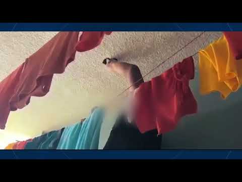 OPERATIVO CÁRCEL DE ARCHIDONA MARZO - ALLYTV NAPO