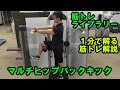 【１分で解る筋トレ解説】マルチヒップ バックキック 【筋トレライブラリー】