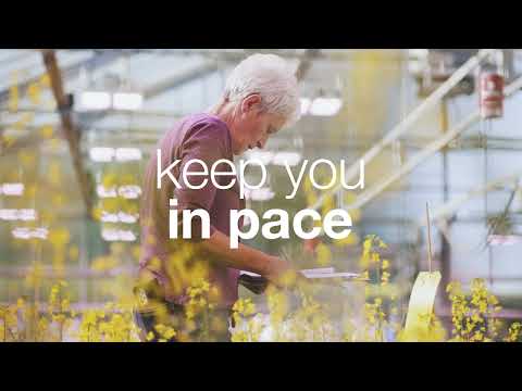 KWS #OneStepAhead - with KWS oilseed rape seeds & solutions