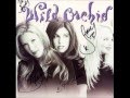 Wild Orchid Talk To Me