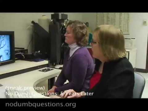 No Dumb Questions: Workplace