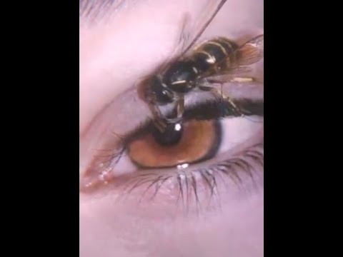 TAI BŪNA😒 ĐEPRESINIS (slowed,reverb,aesthetic)