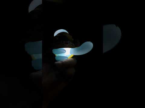 【寶可夢】ZM-Studio-烏波進化組