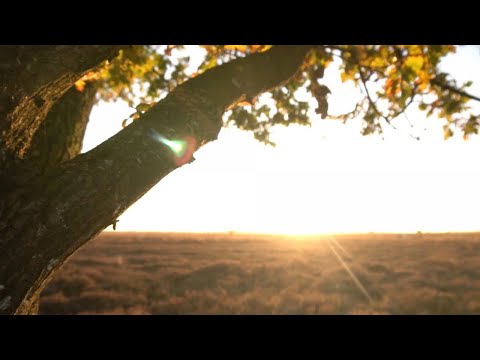 CATALANO vs COPPOLA - Son Of Light (EURO DANCE SPRING 2023)