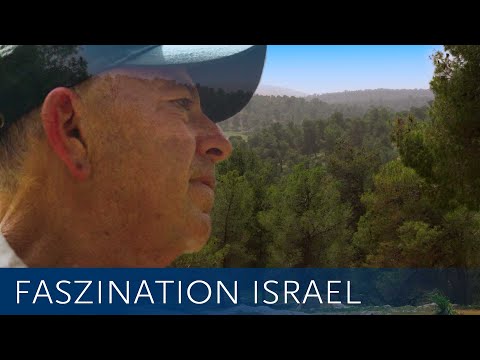 Israel erlebt sein grünes Wunder - aus Wüste wird Wald