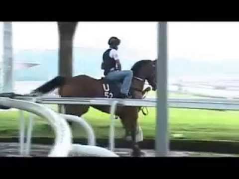 J Saimee - Singapore champion jockey