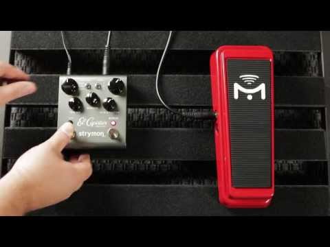 How to Assign a Parameter to an Expression Pedal (El Capistan, Flint, Brigadier, Orbit)