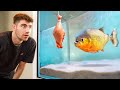FEEDING My DARK WEB PIRANHAS