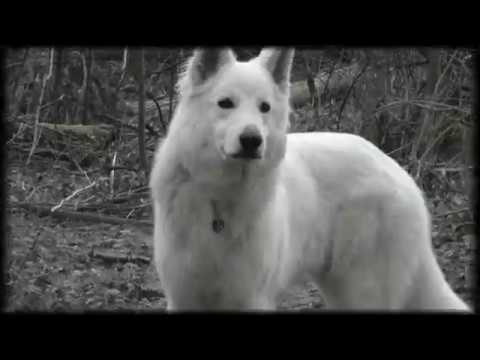 The Fürobig - Astrein Versagt