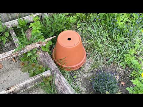 Hummelnest bauen schnell und einfach