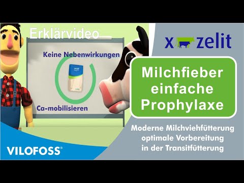 , title : '🐄 Einfache Prophylaxe vor Milchfieber bei Kühen • X-Zelit von VILOFOSS® hilft'