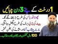 Best Urdu Quotes Heart Touching Islamic Urdu Quotes Golden Words Inspirational Quotes In Urdu