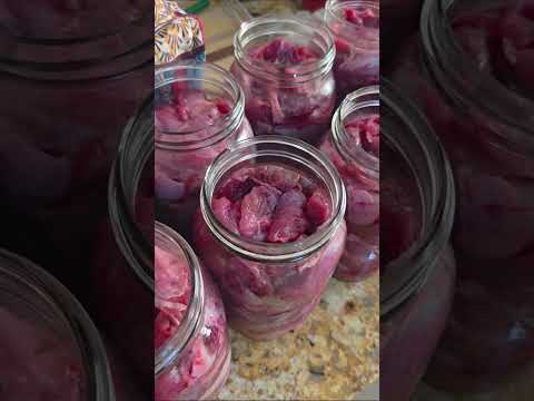 Canning Lids & Rings: Why Proper Sealing Matters