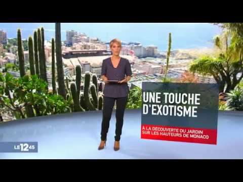 Le jardin exotique de Monaco