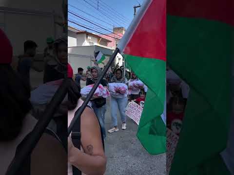 Manifestação do dia da criança Palestina em Sao Paulo